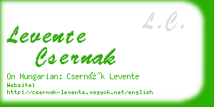 levente csernak business card